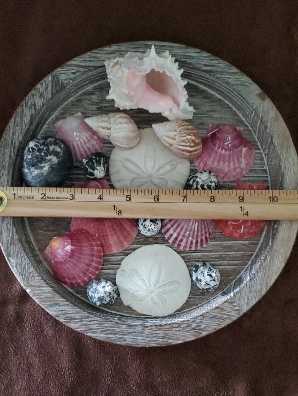 Natural Seashells Pink Murex Seashell Beach Coastal Decor Crafts Nautical